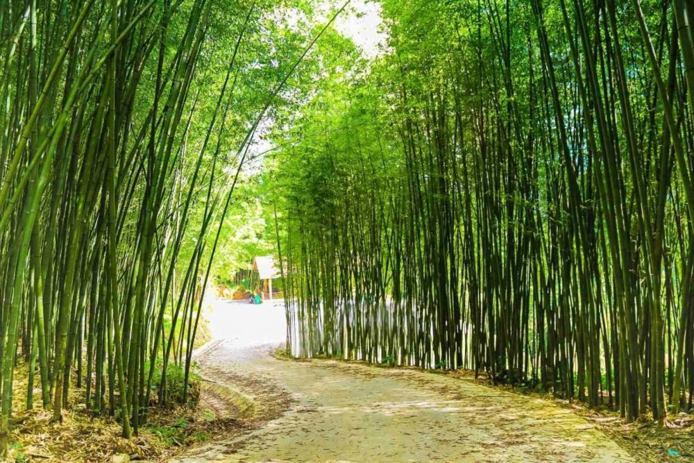 Bao Lac - Sunny Homestay 外观 照片